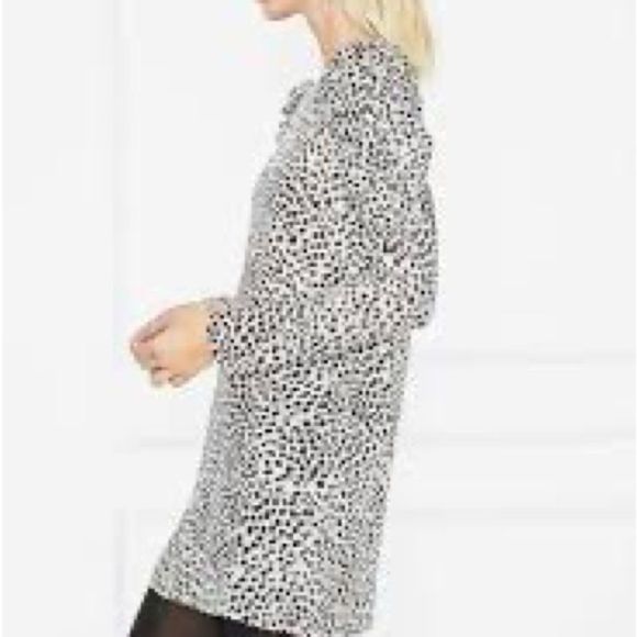 NWOT Anine Bing Revolve Kingston Leopard Print Celebrity Worn mini dress Sz S - Picture 5 of 10